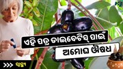 ଶୋଇବା ପୂର୍ବରୁ ଖାଆନ୍ତୁ ଏହି ପତ୍ର, ଚୁଟକୀରେ କମିଯିବ ଡାଇବେଟିସ୍
