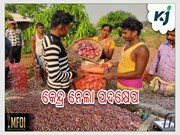 ପିଆଜ ରପ୍ତାନୀରେ ସରକାରଙ୍କ ବଡ଼ ପଦକ୍ଷେପ  ପିଆଜ ରପ୍ତାନୀରେ ସରକାରଙ୍କ ବଡ଼ ପଦକ୍ଷେପ