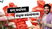 Pink Mushroom: କମ ସମୟ ଏବଂ କମ୍ ଖର୍ଚ୍ଚରେ ଅଧିକ ରୋଜଗାର  Pink Mushroom: କମ ସମୟ ଏବଂ କମ୍ ଖର୍ଚ୍ଚରେ ଅଧିକ ରୋଜଗାର