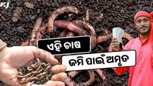 କରନ୍ତୁ ଏହି ଚାଷ ମିଳିବ ଲାଭ ଅଧିକ, ବଢିବ ଫସଲ ଉତ୍ପାଦନ କ୍ଷମତା  କରନ୍ତୁ ଏହି ଚାଷ ମିଳିବ ଲାଭ ଅଧିକ, ବଢିବ ଫସଲ ଉତ୍ପାଦନ କ୍ଷମତା
