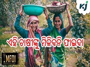 PM Kisan: ଏହି ଚାଷୀଙ୍କୁ ମିଳିବନି ଫାଇଦା