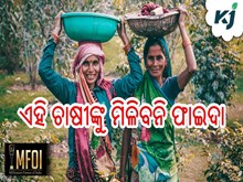 PM Kisan: ଏହି ଚାଷୀଙ୍କୁ ମିଳିବନି ଫାଇଦା