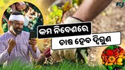 ଏହି ୨ ଟି ଚାଷ ପ୍ରଣାଳୀ ମାଟି ପାଇଁ ବରଦାନ, ଚାଷ ହେବ ଦ୍ଵିଗୁଣ  ଏହି ୨ ଟି ଚାଷ ପ୍ରଣାଳୀ ମାଟି ପାଇଁ ବରଦାନ, ଚାଷ ହେବ ଦ୍ଵିଗୁଣ