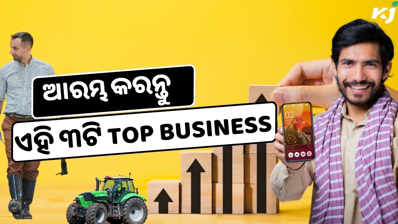 Top 3 Business Opportunities for Indian Farmers in Rural Areas pic credit @pexels.com