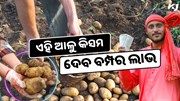 Potato Farming: ଏହି ଆଳୁ କିସମ ଦେବ ବମ୍ପର ଲାଭ Potato Farming: ଏହି ଆଳୁ କିସମ ଦେବ ବମ୍ପର ଲାଭ