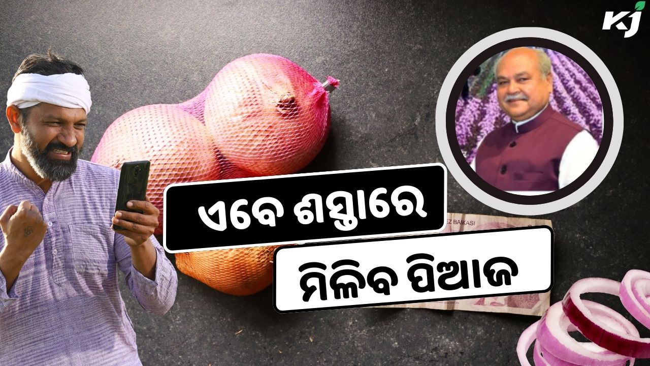 Govt to sale onion cheaper rate, image source - @nstomar