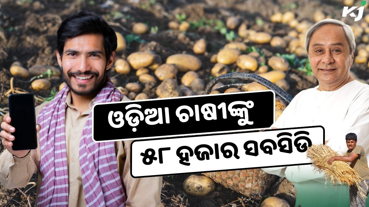 In Odisha, initiatives are underway to encourage the production of potatoes pic credit @CMOodisha and pexels.com