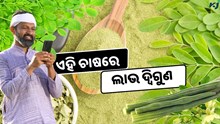 ଏହି ଚାଷରେ କମ ଖର୍ଚ୍ଚ, ଲାଭ ଅଧିକ  ଏହି ଚାଷରେ କମ ଖର୍ଚ୍ଚ, ଲାଭ ଅଧିକ
