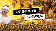 କରନ୍ତୁ ଏହି ଚାଷ, ଦ୍ବିଗୁଣ ହେବ Income  କରନ୍ତୁ ଏହି ଚାଷ, ଦ୍ବିଗୁଣ ହେବ Income