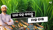 ଏହି ପ୍ରଣାଳୀରେ ଗୋଟିଏ ଜମିରେ ଧାନ ସହ କରନ୍ତୁ ମାଛ ଚାଷ, ଲାଭ ପ୍ରବଳ  ଏହି ପ୍ରଣାଳୀରେ ଗୋଟିଏ ଜମିରେ ଧାନ ସହ କରନ୍ତୁ ମାଛ ଚାଷ, ଲାଭ ପ୍ରବଳ