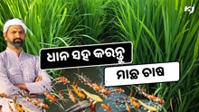 ଏହି ପ୍ରଣାଳୀରେ ଗୋଟିଏ ଜମିରେ ଧାନ ସହ କରନ୍ତୁ ମାଛ ଚାଷ, ଲାଭ ପ୍ରବଳ  ଏହି ପ୍ରଣାଳୀରେ ଗୋଟିଏ ଜମିରେ ଧାନ ସହ କରନ୍ତୁ ମାଛ ଚାଷ, ଲାଭ ପ୍ରବଳ
