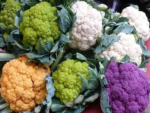 colourfull Cauliflower in odisha know all the details