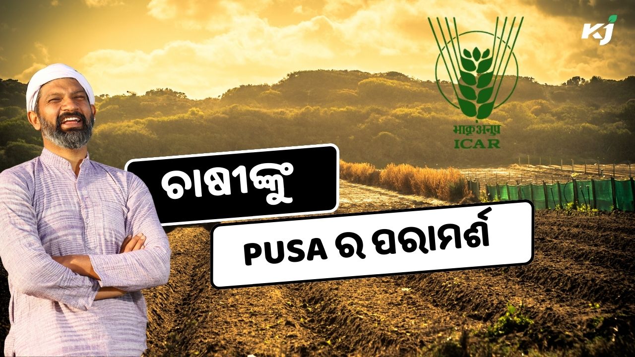 Pusa issued advisory for cultivation of vegetables , IMAGE SOURCE - pexels.com