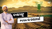 PUSAର ପରାମର୍ଶ, ଏହି ଜିନିଷ ଉପରେ ଧ୍ୟାନ ରଖିବା ଉଚିତ୍