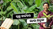 ୧.୫୦ ଲକ୍ଷରେ ଆରମ୍ଭ ବ୍ୟବସାୟ, ପ୍ରତିମାସ ରୋଜଗାର ୬୦ ହଜାର ୧.୫୦ ଲକ୍ଷରେ ଆରମ୍ଭ ବ୍ୟବସାୟ, ପ୍ରତିମାସ ରୋଜଗାର ୬୦ ହଜାର