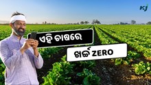 ଏହି ଚାଷରେ ଖର୍ଚ୍ଚ Zero, ଅମଳ ହେଉଛି ଦ୍ଵିଗୁଣ  ଏହି ଚାଷରେ ଖର୍ଚ୍ଚ Zero, ଅମଳ ହେଉଛି ଦ୍ଵିଗୁଣ