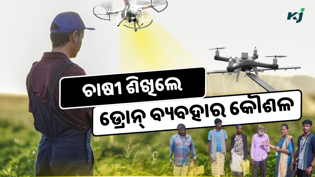 Drone utilisation in agriculture sector  , image source - pexels.com