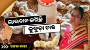 କୁକୁଡ଼ା ପାଳନରେ ସଫଳତା , ବାଲେଶ୍ୱରରୁ ଆରତୀ ସାହୁଙ୍କ ସଫଳ କାହାଣୀ  
