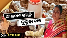 କୁକୁଡ଼ା ପାଳନରେ ସଫଳତା , ବାଲେଶ୍ୱରରୁ ଆରତୀ ସାହୁଙ୍କ ସଫଳ କାହାଣୀ  