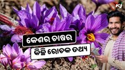 ଜାଣନ୍ତୁ କେଶର ଚାଷ ସହ ଜଡ଼ିତ ରୋଚକ ତଥ୍ୟ, କିପରି ହେବ ଭଲ Income ? ଜାଣନ୍ତୁ କେଶର ଚାଷ ସହ ଜଡ଼ିତ ରୋଚକ ତଥ୍ୟ, କିପରି ହେବ ଭଲ Income ?