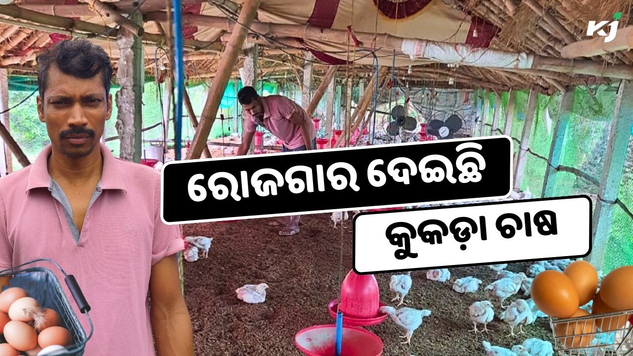 A Trailblazing Success Story in Poultry Farming from Bhadrak