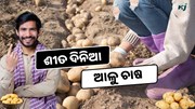 ଶୀତ ଦିନରେ କରନ୍ତୁ ଆଳୁ ଚାଷ, କମ ନିବେଶରେ ଲାଭ ପ୍ରଚୁର  ଶୀତ ଦିନରେ କରନ୍ତୁ ଆଳୁ ଚାଷ, କମ ନିବେଶରେ ଲାଭ ପ୍ରଚୁର