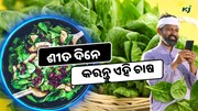 ଶୀତ ଦିନେ କରନ୍ତୁ ଏହି ଚାଷ, ମିଳୁଛି ଭଲ Income  ଶୀତ ଦିନେ କରନ୍ତୁ ଏହି ଚାଷ, ମିଳୁଛି ଭଲ Income