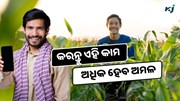 ଧାନ ଜମିରେ କିପରି କରିବେ  Weed Control ? ଧାନ ଜମିରେ କିପରି କରିବେ  Weed Control ?