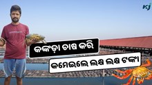 ଜାଣନ୍ତୁ କିପରି କଙ୍କଡ଼ା ଚାଷ କରି ପାଇଲେ ସଫଳତା, ସଂଘର୍ଷରୁ ସଫଳତାର କାହାଣୀ 