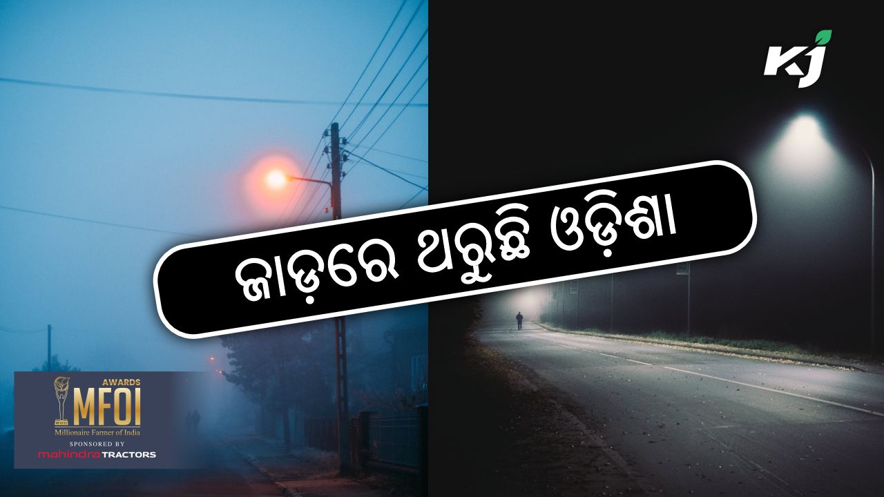 Dense fog to cover several odisha districts , image source - pexels