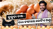 କରନ୍ତୁ ଏହି କୁକୁଡ଼ା ଚାଷ, ୧୦୦ ଟଙ୍କାରେ ବିକ୍ରି ହେଉଛି ଗୋଟିଏ ଅଣ୍ଡା  କରନ୍ତୁ ଏହି କୁକୁଡ଼ା ଚାଷ, ୧୦୦ ଟଙ୍କାରେ ବିକ୍ରି ହେଉଛି ଗୋଟିଏ ଅଣ୍ଡା
