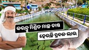 ମିଶ୍ରିତ ମାଛ ଚାଷରେ ହେଉଛି ପ୍ରବଳ ଲାଭ, ଜାଣନ୍ତୁ କିପରି କରିପାରିବେ ଅଧିକ ଉତ୍ପାଦନ  