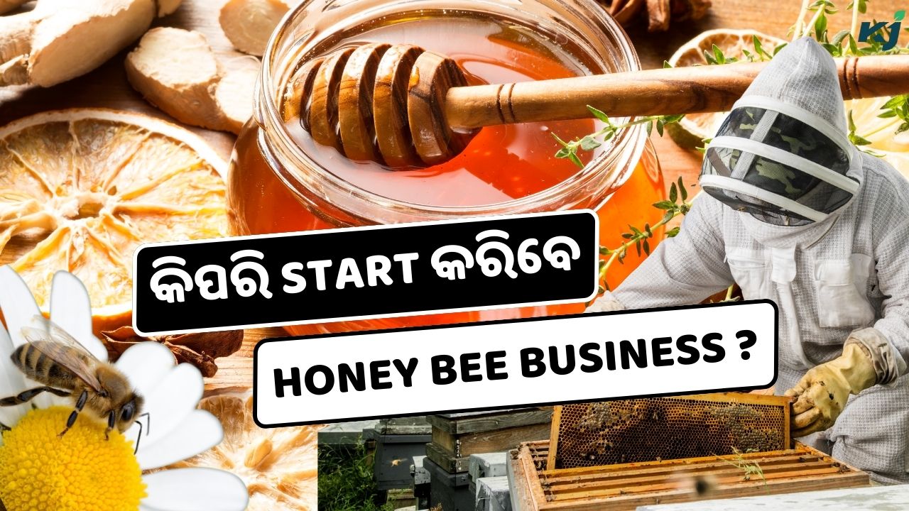 Honey Bee Business: A Guide to Starting Your Own pic credit @pexels, @canva