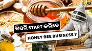 Honey Bee Business: କେମିତି ଆରମ୍ଭ କରିବେ, ଜାଣନ୍ତୁ ସମ୍ପୂର୍ଣ ଗାଇଡ଼  Honey Bee Business: କେମିତି ଆରମ୍ଭ କରିବେ, ଜାଣନ୍ତୁ ସମ୍ପୂର୍ଣ ଗାଇଡ଼
