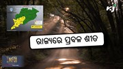 weather update: ୯ ତାରିଖ ଯାଏଁ ରାଜ୍ୟରେ ରହିବ ଘନ କୁହୁଡ଼ି