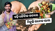 କେମିତି ସହଜରେ ତିଆରି କରିବେ ଭର୍ମିକମ୍ପୋଷ୍ଟ, ମିଳୁଛି ଅନେକ ଲାଭ  କେମିତି ସହଜରେ ତିଆରି କରିବେ ଭର୍ମିକମ୍ପୋଷ୍ଟ, ମିଳୁଛି ଅନେକ ଲାଭ