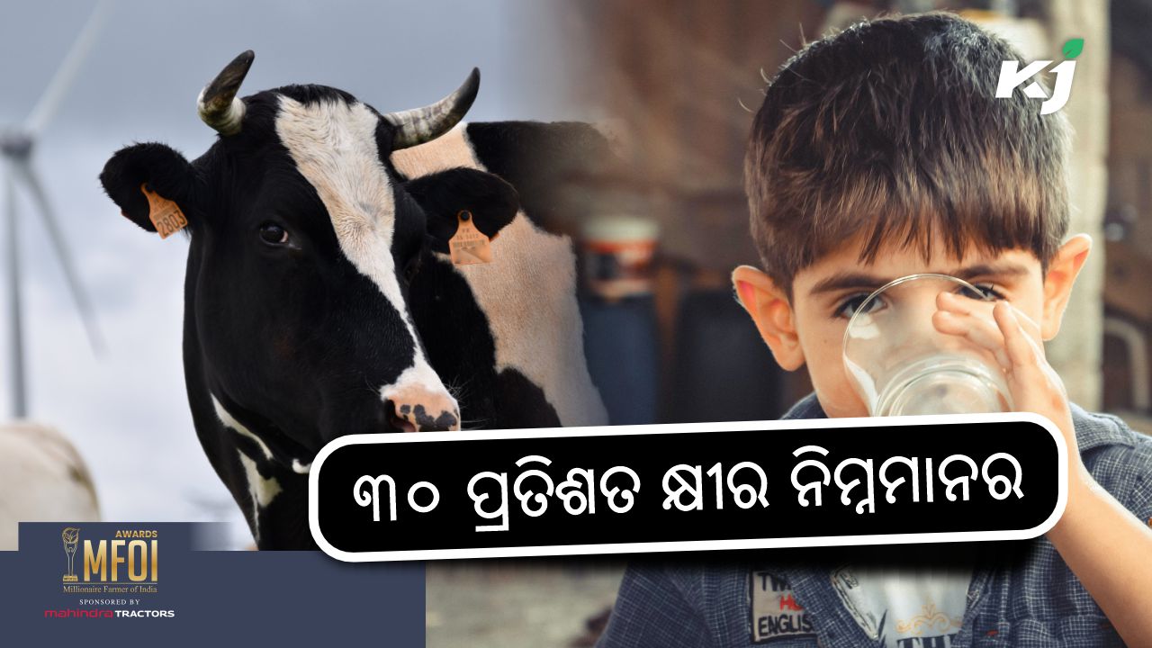 milk quality report of odisha , image source - pexels.com