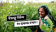 Women's empowerment: ଝିଅଙ୍କୁ ମିଳିବ ୧୦ ହଜାର ଟଙ୍କା ! ସିଧାସଳଖ ଆକାଉଣ୍ଟକୁ ଆସିବ ଟଙ୍କା