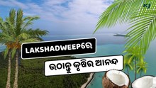 Lakshadweep: କୃଷି ଏବଂ ଏଗ୍ରୋଟୋରିଜିମର ନେଇପାରିବେ ଆନନ୍ଦ    Lakshadweep: କୃଷି ଏବଂ ଏଗ୍ରୋଟୋରିଜିମର ନେଇପାରିବେ ଆନନ୍ଦ