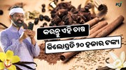 Vanilla: ୨୦ ହଜାର ଟଙ୍କା ପ୍ରତି କିଲୋରେ ବିକ୍ରି ହେଉଛି ଏହି ଫସଲ, ଜାଣନ୍ତୁ କିପରି କରିବେ ଚାଷ ? Vanilla: ୨୦ ହଜାର ଟଙ୍କା ପ୍ରତି କିଲୋରେ ବିକ୍ରି ହେଉଛି ଏହି ଫସଲ, ଜାଣନ୍ତୁ କିପରି କରିବେ ଚାଷ ?
