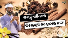 Vanilla: ୨୦ ହଜାର ଟଙ୍କା ପ୍ରତି କିଲୋରେ ବିକ୍ରି ହେଉଛି ଏହି ଫସଲ, ଜାଣନ୍ତୁ କିପରି କରିବେ ଚାଷ ? Vanilla: ୨୦ ହଜାର ଟଙ୍କା ପ୍ରତି କିଲୋରେ ବିକ୍ରି ହେଉଛି ଏହି ଫସଲ, ଜାଣନ୍ତୁ କିପରି କରିବେ ଚାଷ ?