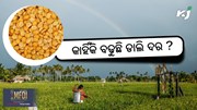 Pulses Price: କାହିଁକି ବାରମ୍ବାର ବଢୁଛି ଡାଲି ଦର ? Pulses Price: କାହିଁକି ବାରମ୍ବାର ବଢୁଛି ଡାଲି ଦର ?