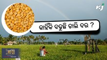 Pulses Price: କାହିଁକି ବାରମ୍ବାର ବଢୁଛି ଡାଲି ଦର ? Pulses Price: କାହିଁକି ବାରମ୍ବାର ବଢୁଛି ଡାଲି ଦର ?