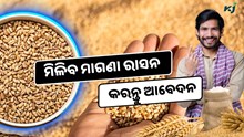 Ration Card: ଜାଣନ୍ତୁ କିପରି ଅନଲାଇନରେ Apply କରିବେ ? ମିଳିବ ମାଗଣା ରାସନ 