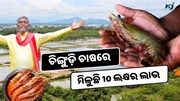 Prawn Cultivation: ଜାଣନ୍ତୁ କେମିତି କରିବେ ଚିଙ୍ଗୁଡ଼ି ଚାଷ, ମିଳୁଛି ଲକ୍ଷାଧିକ ଟଙ୍କାର ଲାଭ 