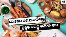 Homemade Fertilizer: ଅଣ୍ଡା ଖୋଳପା, କଦଳୀ ଚୋପା, ମାଛ କାତିରୁ ପ୍ରସ୍ତୁତ କରନ୍ତୁ ଜୈବିକ ସାର 