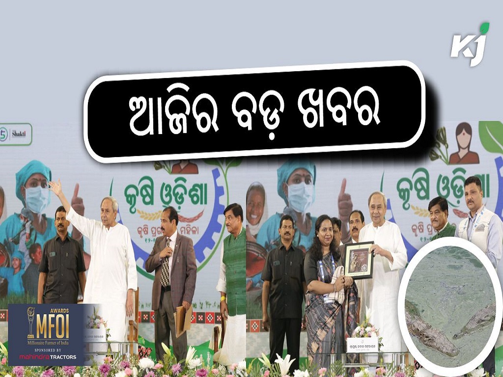 News Headlines today, image source - pexels.com, @CMO_Odisha