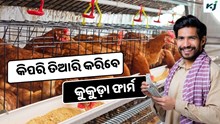 Poultry Farm: କିପରି ଆରମ୍ଭ କରିବେ କୁକୁଡ଼ା ଫାର୍ମ Business   Poultry Farm: କିପରି ଆରମ୍ଭ କରିବେ କୁକୁଡ଼ା ଫାର୍ମ Business