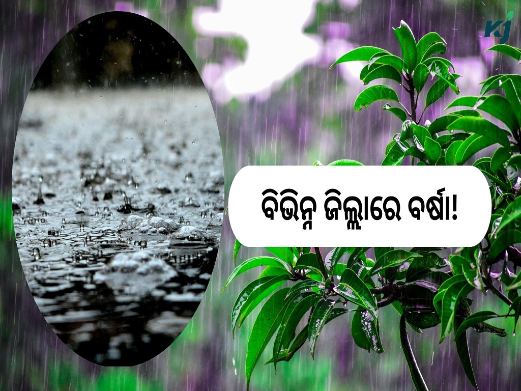 rain in several districts of Odisha IMD predicts, image source - pexels.com