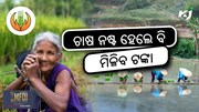 PM Fasal Bima Yojana:ଫସଲ ନଷ୍ଟ ହେଲେ ବି କୃଷକ ପାଇବେ ବୀମା ଟଙ୍କା 